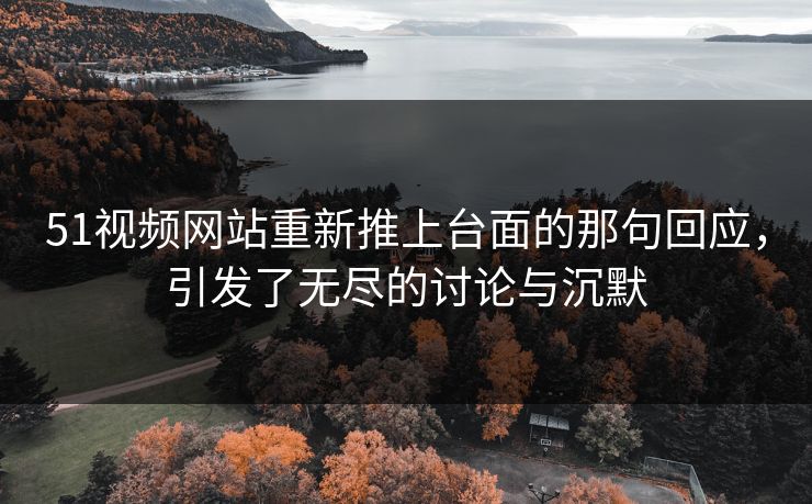 51视频网站重新推上台面的那句回应，引发了无尽的讨论与沉默