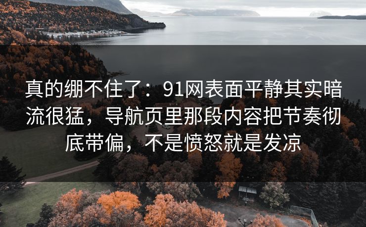 真的绷不住了：91网表面平静其实暗流很猛，导航页里那段内容把节奏彻底带偏，不是愤怒就是发凉